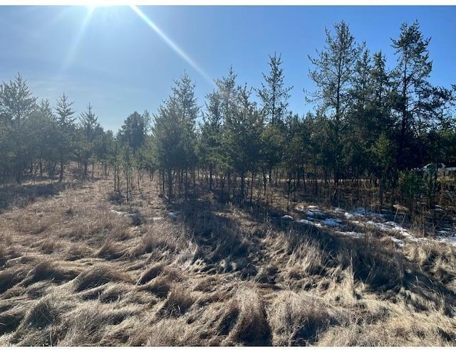 view of local wilderness