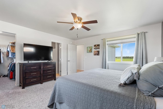 bedroom with light carpet, a closet, a walk in closet, and a ceiling fan