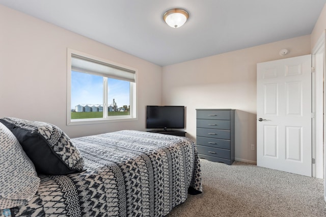 bedroom featuring carpet flooring