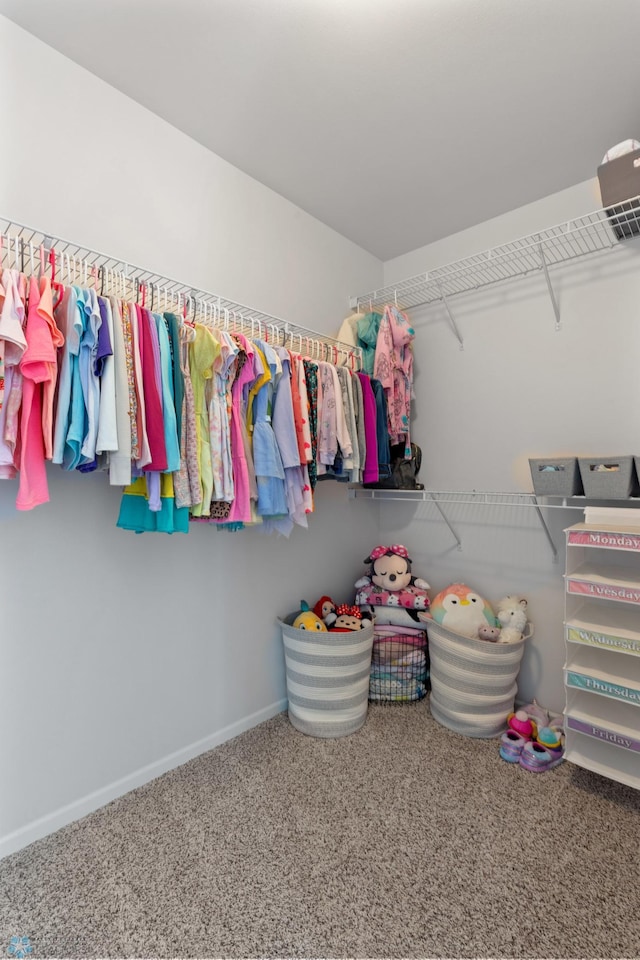 spacious closet featuring carpet