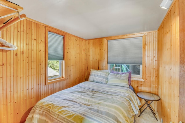 47166 Franklin Ct, Dunn Twp, MN 56572 - bedroom with wood walls