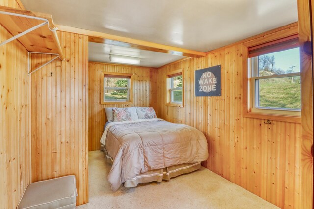 47166 Franklin Ct, Dunn Twp, MN 56572 - bedroom with wooden walls and carpet floors