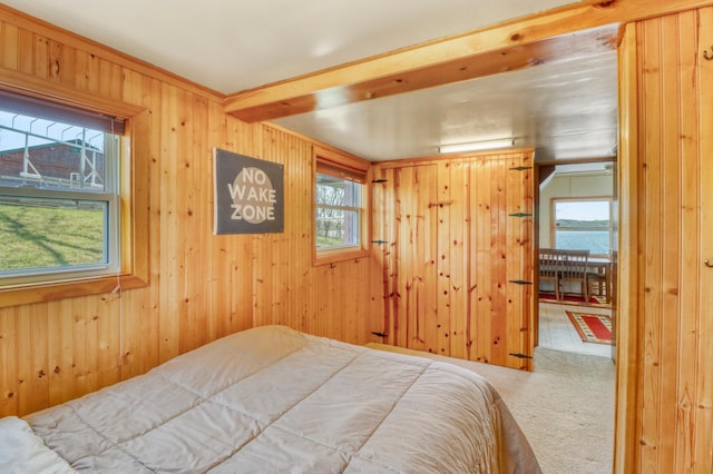 47166 Franklin Ct, Dunn Twp, MN 56572 - bedroom featuring multiple windows, carpet flooring, and wooden walls