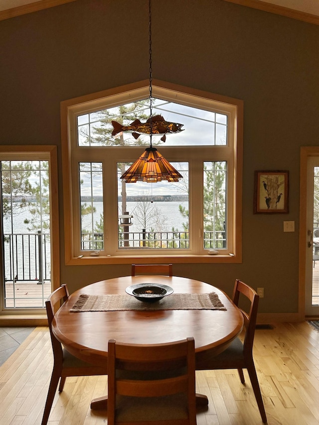 dining area with light wood-style flooring and a healthy amount of sunlight