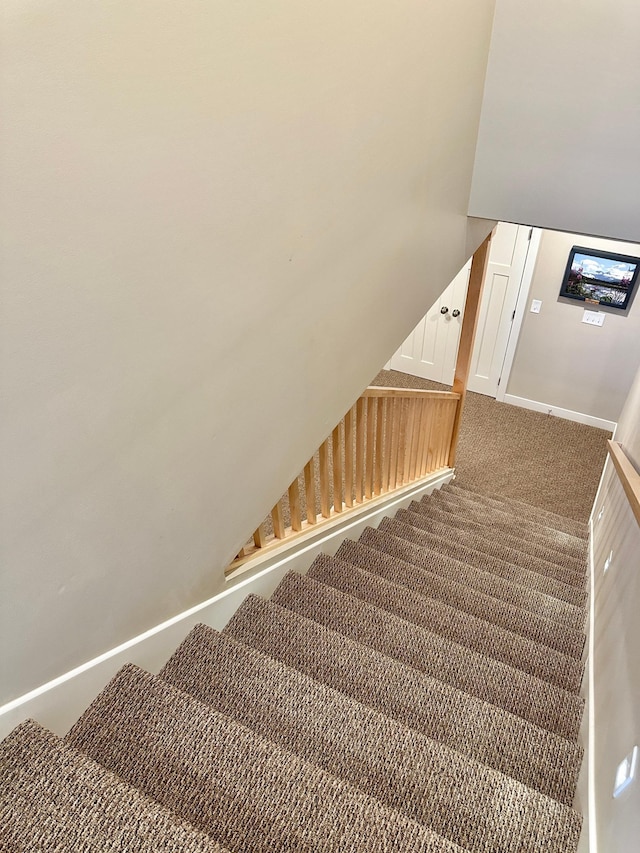 stairs with carpet flooring