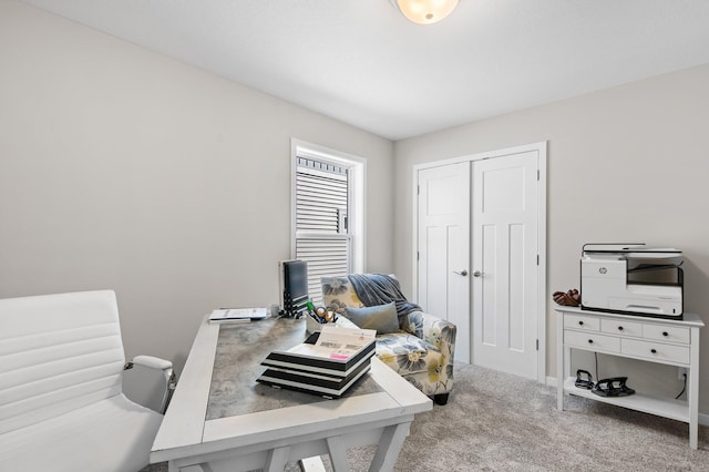 1125 Hewitt Blvd, Red Wing, MN 55066 - home office featuring carpet