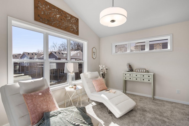 1125 Hewitt Blvd, Red Wing, MN 55066 - living area with vaulted ceiling, healthy amount of natural light, carpet flooring, and baseboards