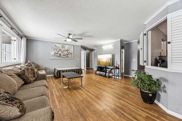 living room featuring a textured ceiling, wood finished floors, and crown molding