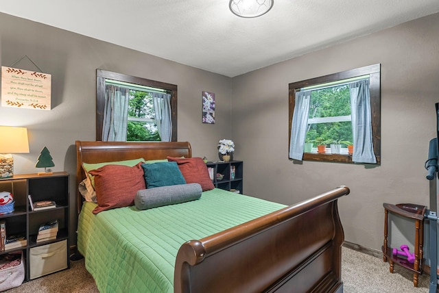 6506 160th Ave, Oak Park, MN 56357 - photo 24