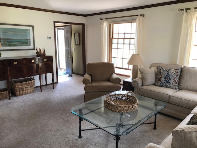 carpeted living area featuring ornamental molding