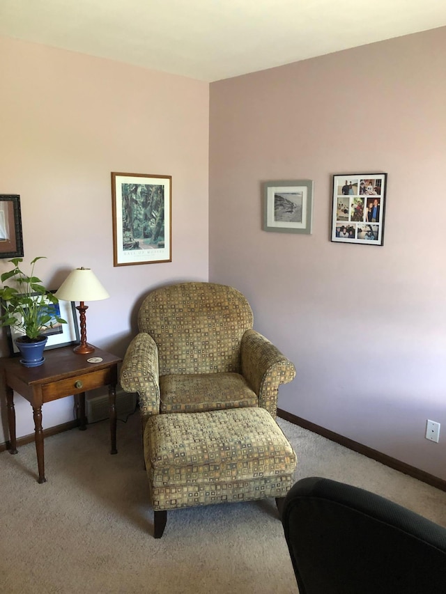 living area featuring baseboards and carpet floors