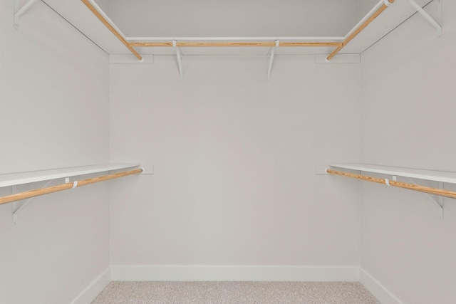 walk in closet with carpet floors