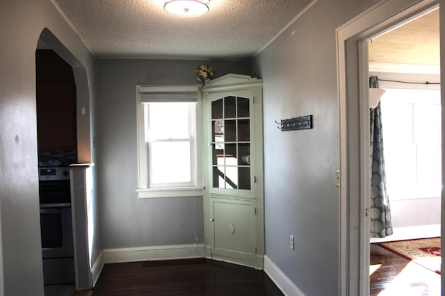 interior space with baseboards, a textured ceiling, and dark wood-style flooring