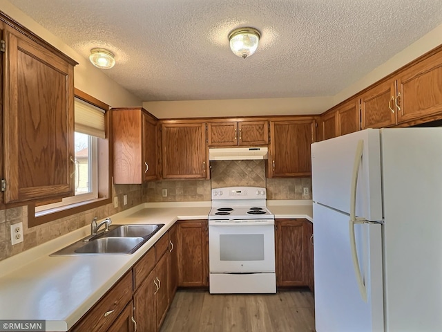 kitchen with white appliances, brown cabinetry, light wood finished floors, a sink, and under cabinet range hood