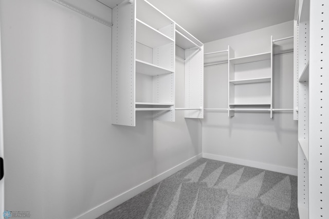 spacious closet with carpet flooring