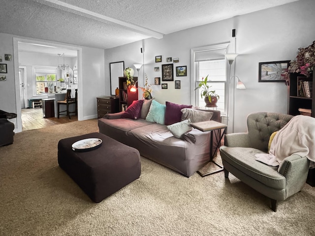 6915 11th Ave S, Richfield, MN 55423 - carpeted living room featuring a textured ceiling and a chandelier