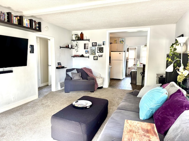 6915 11th Ave S, Richfield, MN 55423 - living room featuring carpet, a textured ceiling, and baseboards