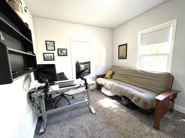 6915 11th Ave S, Richfield, MN 55423 - office with carpet, a textured ceiling, and baseboards