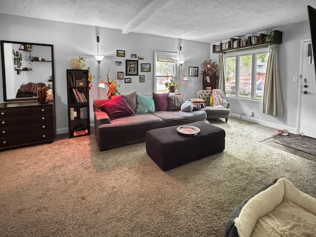 6915 11th Ave S, Richfield, MN 55423 - carpeted living area with a textured ceiling and baseboards