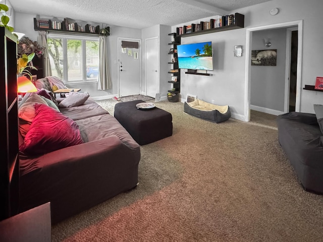 6915 11th Ave S, Richfield, MN 55423 - carpeted living area with a textured ceiling and baseboards