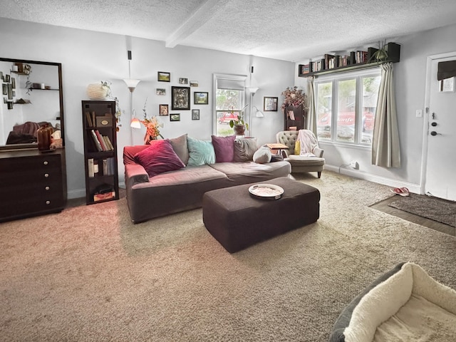 6915 11th Ave S, Richfield, MN 55423 - carpeted living area featuring a textured ceiling, plenty of natural light, and baseboards