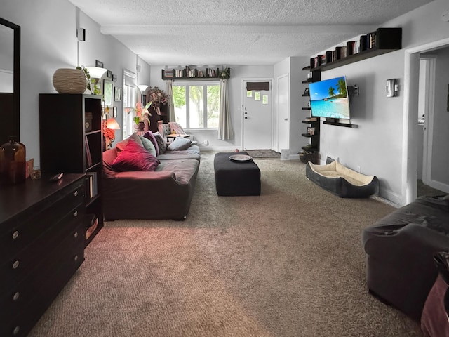 6915 11th Ave S, Richfield, MN 55423 - living room with a textured ceiling, carpet flooring, and baseboards