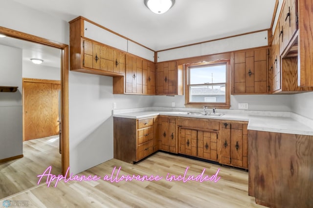 3129 7th St N, Fargo, ND 58102 - kitchen featuring a sink, brown cabinets, light wood-style floors, and light countertops