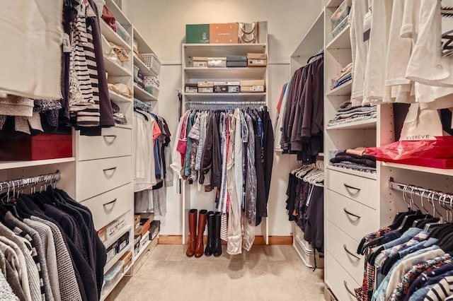 spacious closet with light carpet