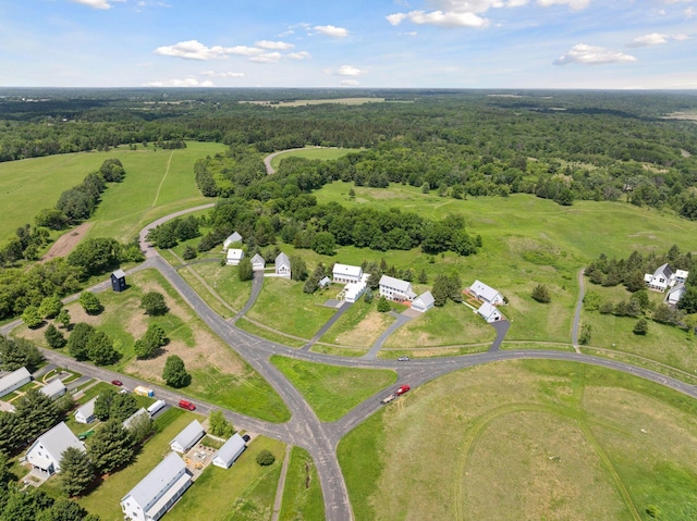 2049 Broadway St, Marine On Saint Croix, MN 55047 - aerial view of property's location featuring a heavily wooded area