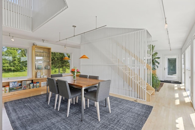 2049 Broadway St, Marine On Saint Croix, MN 55047 - dining space featuring track lighting, wood finished floors, and a towering ceiling