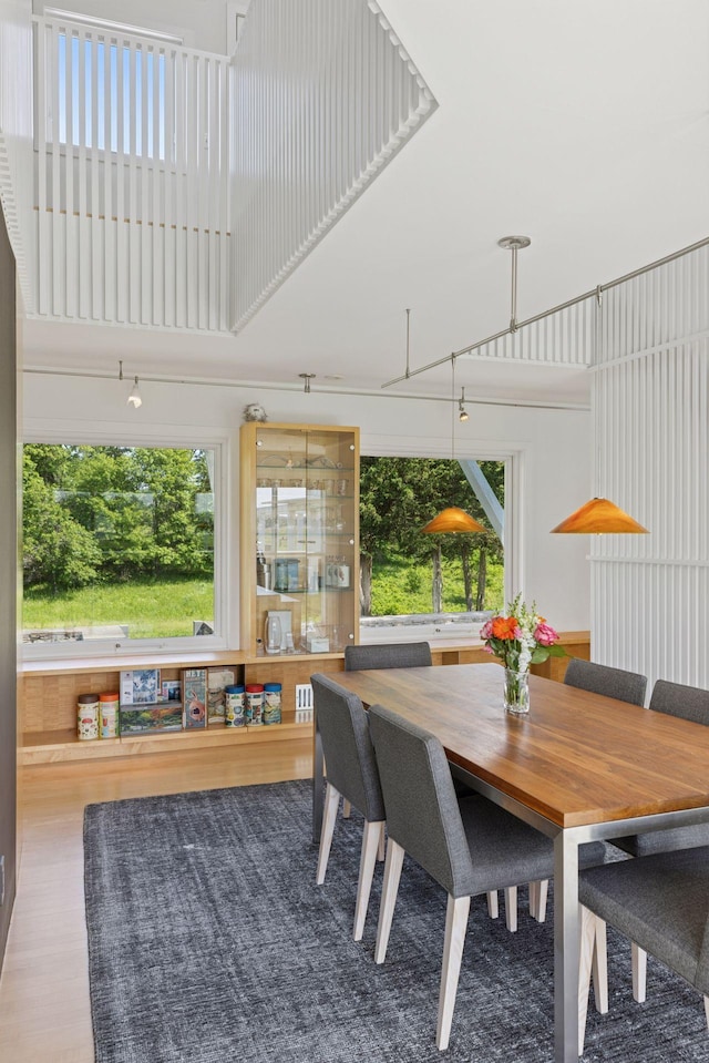 2049 Broadway St, Marine On Saint Croix, MN 55047 - dining room featuring a towering ceiling