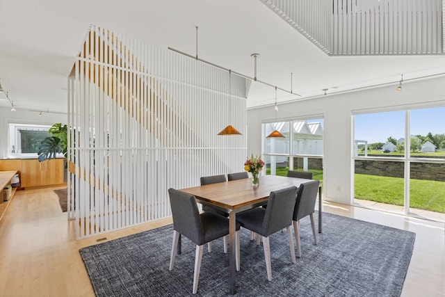 2049 Broadway St, Marine On Saint Croix, MN 55047 - dining room featuring wood finished floors, a high ceiling, and healthy amount of natural light