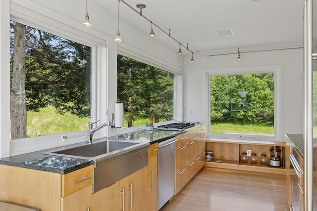 2049 Broadway St, Marine On Saint Croix, MN 55047 - kitchen featuring dark stone counters, stainless steel appliances, light wood-type flooring, pendant lighting, and track lighting