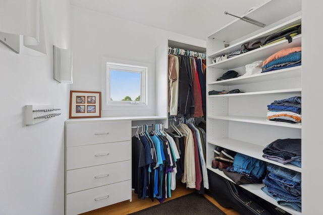 2049 Broadway St, Marine On Saint Croix, MN 55047 - view of walk in closet