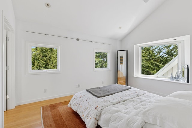 2049 Broadway St, Marine On Saint Croix, MN 55047 - bedroom featuring light wood-style flooring and lofted ceiling