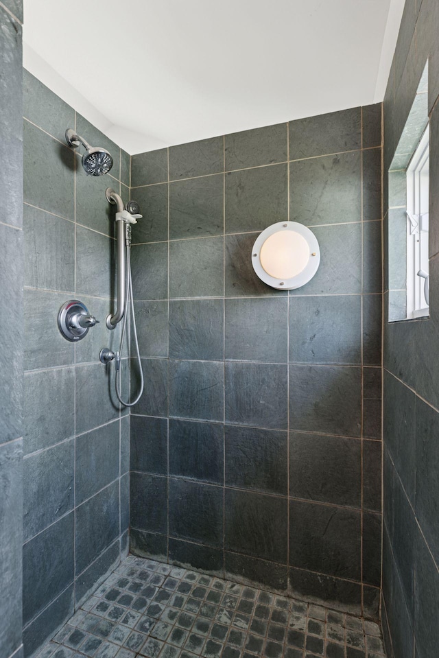 2049 Broadway St, Marine On Saint Croix, MN 55047 - bathroom with a tile shower