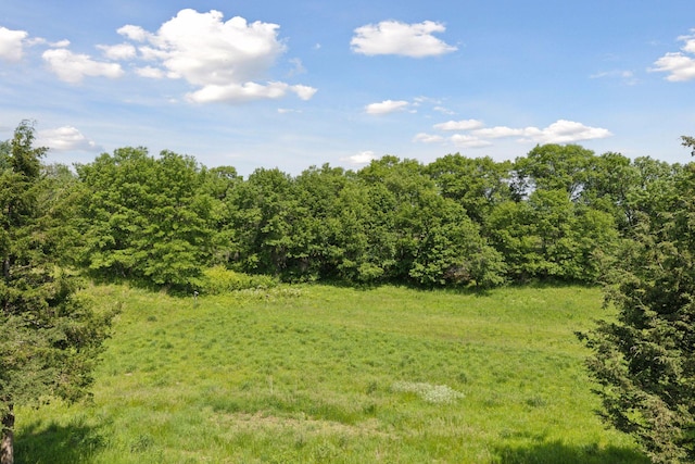 2049 Broadway St, Marine On Saint Croix, MN 55047 - view of yard featuring a view of trees