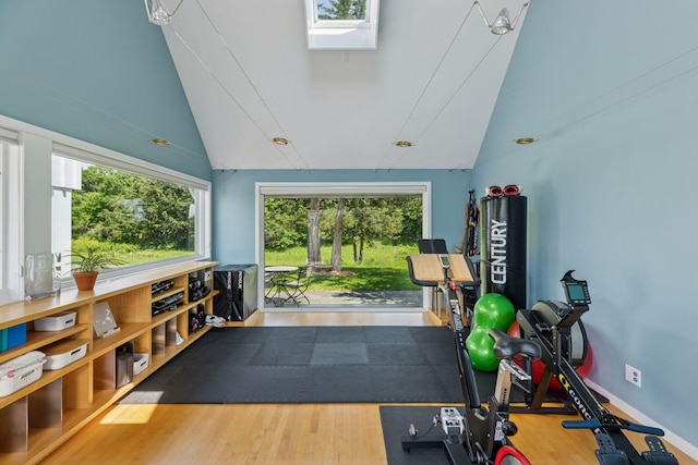 2049 Broadway St, Marine On Saint Croix, MN 55047 - exercise room with vaulted ceiling, wood finished floors, and a skylight