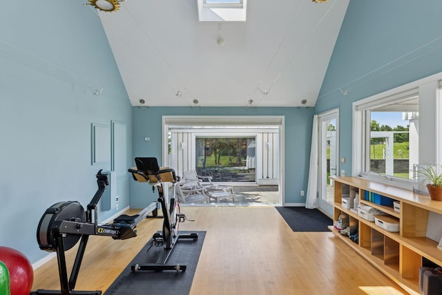 2049 Broadway St, Marine On Saint Croix, MN 55047 - workout room featuring wood finished floors, a skylight, and high vaulted ceiling