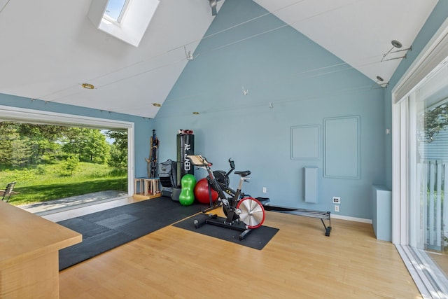 2049 Broadway St, Marine On Saint Croix, MN 55047 - exercise area featuring a skylight, wood finished floors, and high vaulted ceiling