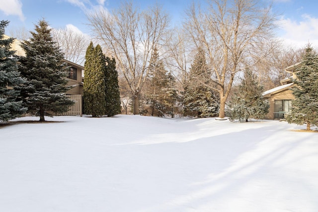 view of yard layered in snow