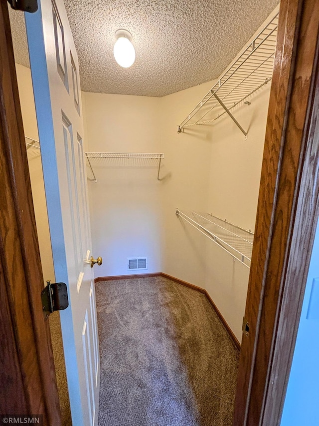 walk in closet with carpet and visible vents