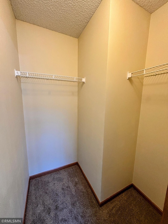 walk in closet featuring carpet floors