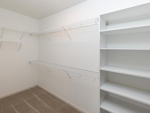 walk in closet featuring carpet