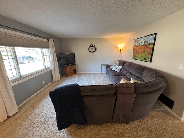 carpeted living area featuring baseboards and a textured ceiling