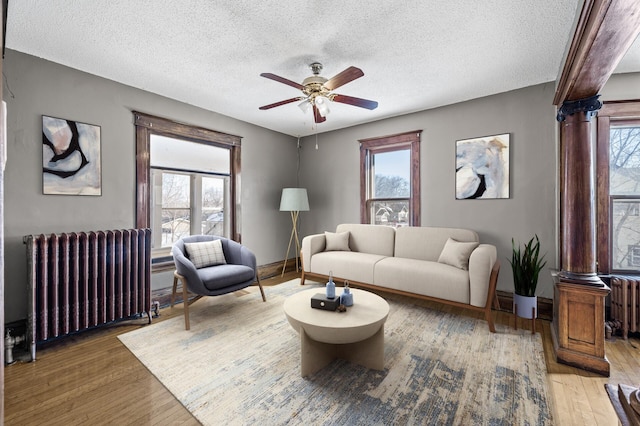 living area featuring light wood-style flooring, radiator heating unit, plenty of natural light, and ceiling fan