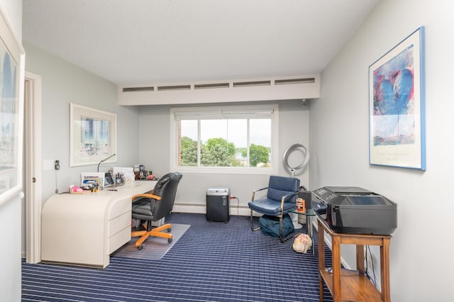 5430 Three Points Blvd Unit 131, Mound, MN 55364 - office area featuring carpet, baseboard heating, a baseboard radiator, and baseboards