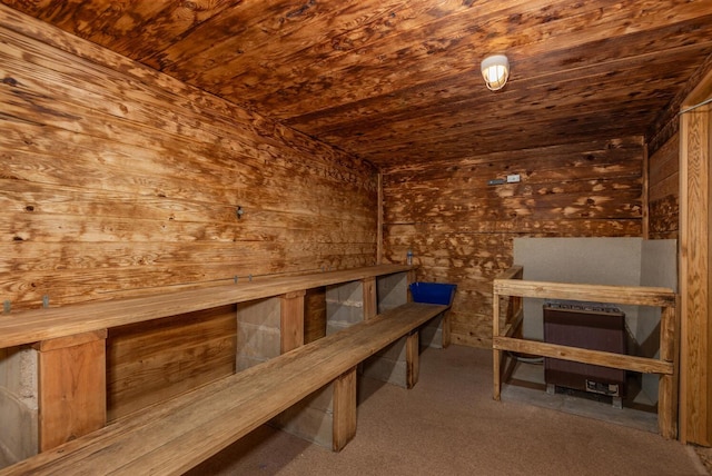 5430 Three Points Blvd Unit 131, Mound, MN 55364 - relaxing sauna / steam room featuring wooden ceiling, wooden walls, and carpet floors