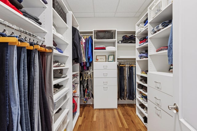 spacious closet with a paneled ceiling and light wood-style flooring