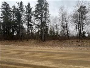 TBD Birdsview Ln NW, Bemidji MN, 56601 land for sale